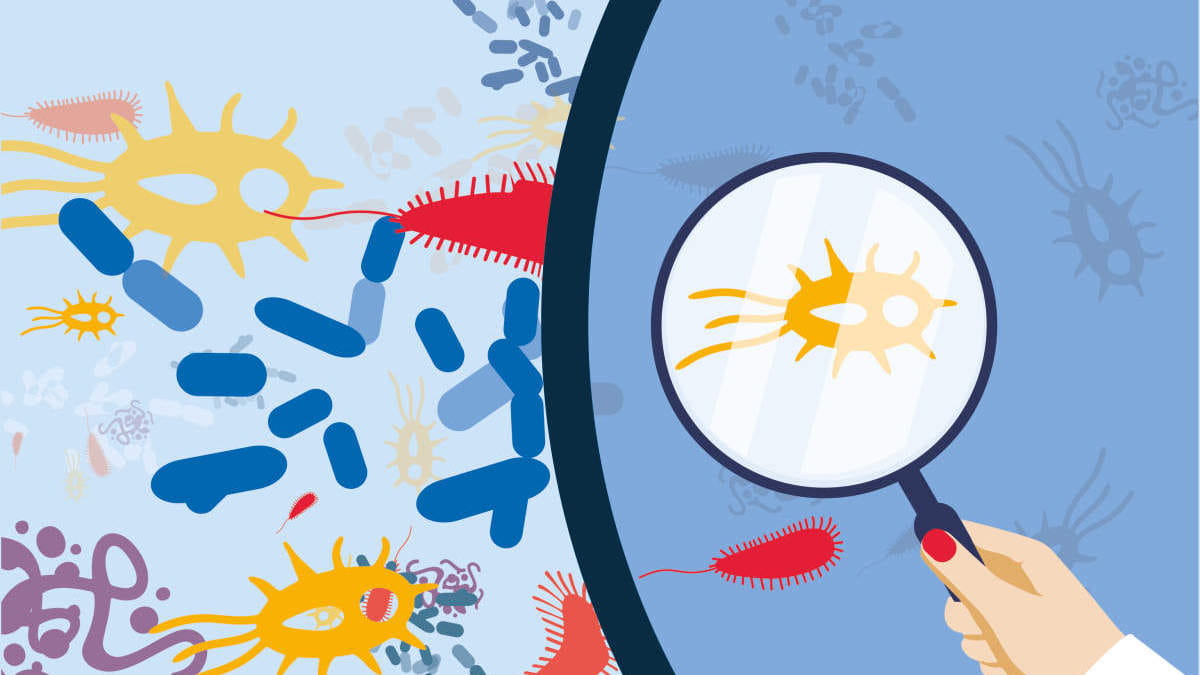 Microbiome, AMR, Antimicrobial resistance, campaign visual for AMR 2023